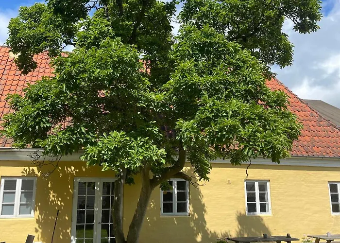 Faaborg Vandrerhjem * Фоборг