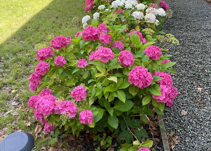 Faaborg Vandrerhjem * Фоборг